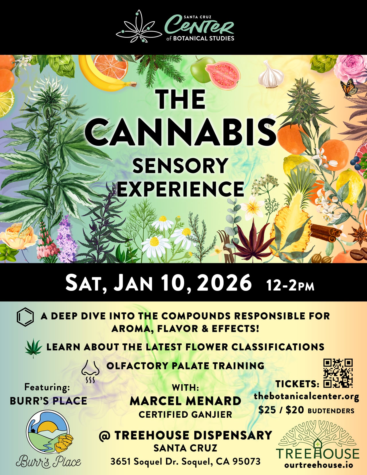 The Cannabis Sensory Experience - Ian Rassman